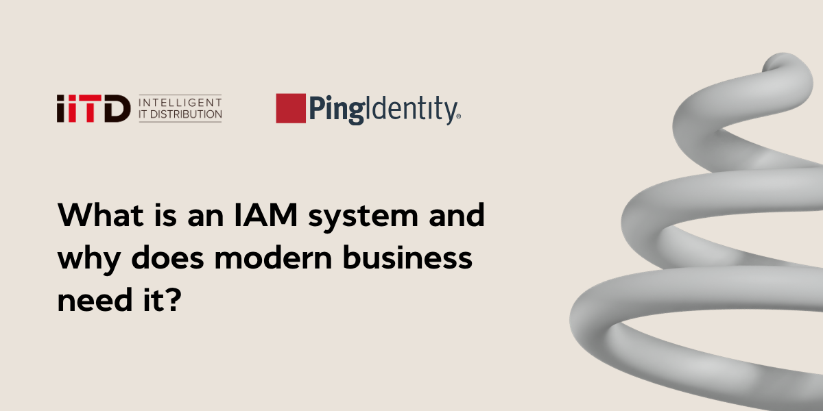 What is an IAM system and why does modern business need it? - image 1